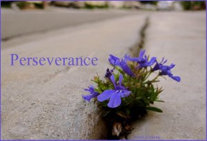 Perserverance